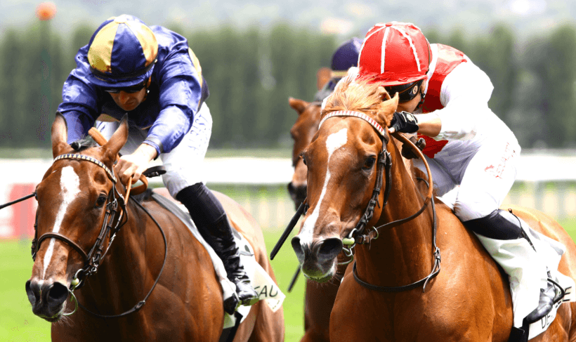 Horse Racing: A Global Event for Fans