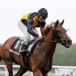 Horse Racing: A Global Perspective