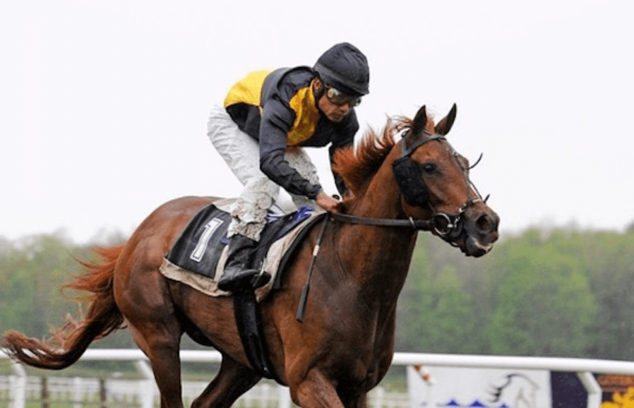 Horse Racing: A Global Perspective