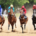 Horse Racing: A Global Perspective on the Sport