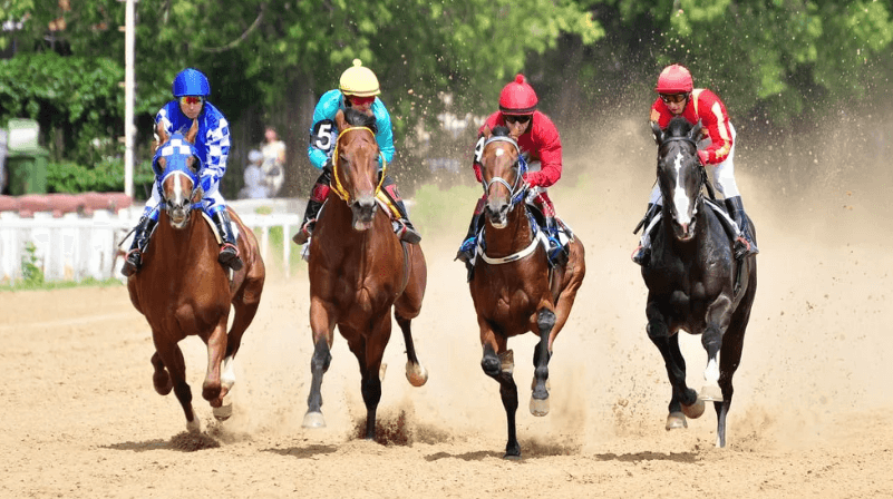 Horse Racing: A Global Perspective on the Sport