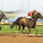 Horse Racing: A Global Phenomenon Spanning Centuries