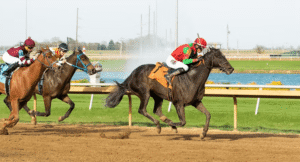 Horse Racing: A Global Phenomenon Spanning Centuries