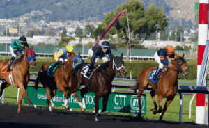 Horse Racing: A Growing Sport Worldwide