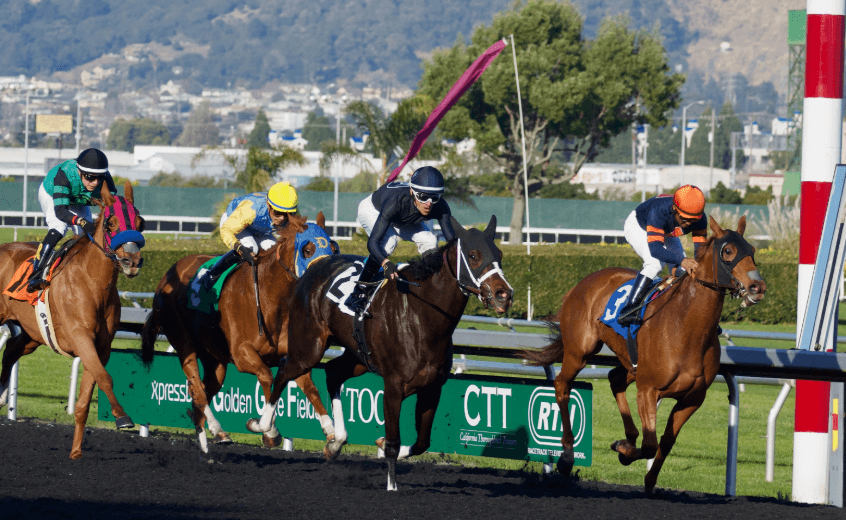 Horse Racing: A Growing Sport Worldwide