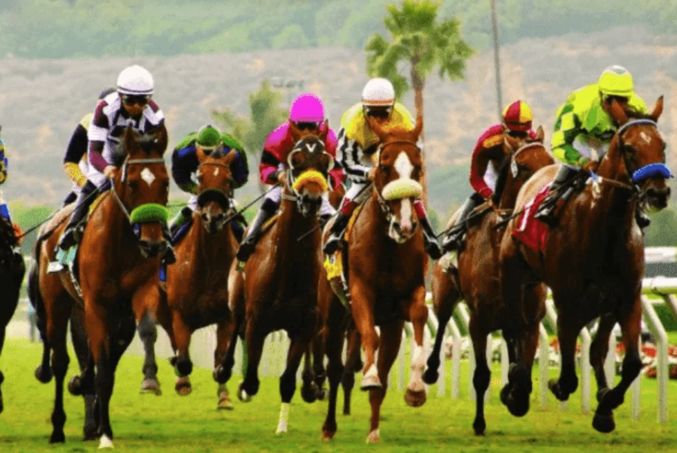 ledueldutierce || ledueldutierce turf